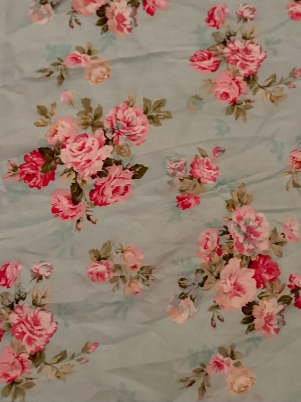 2 Shabby Cottagecore Standard Aqua Blue Cotton  Pillowcases Bright Pink Roses